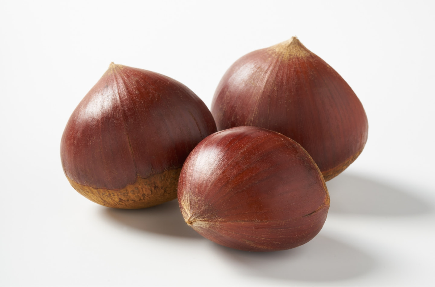 ソヤカテの栗