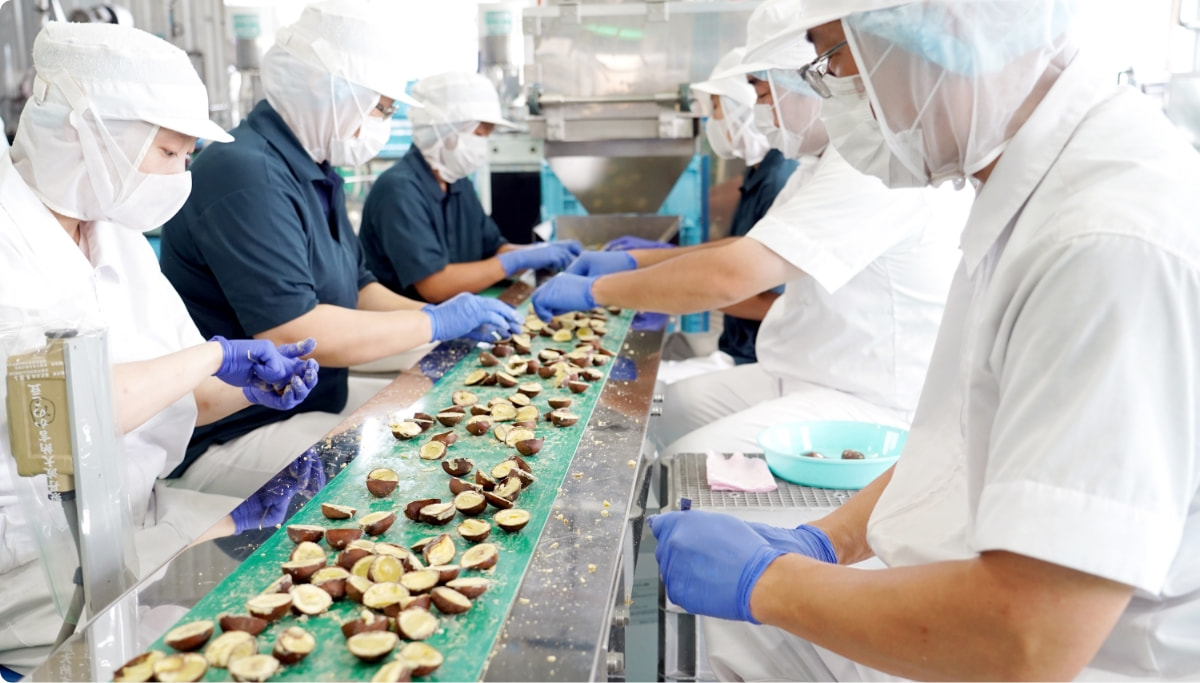 ソヤカテ厳選栗について